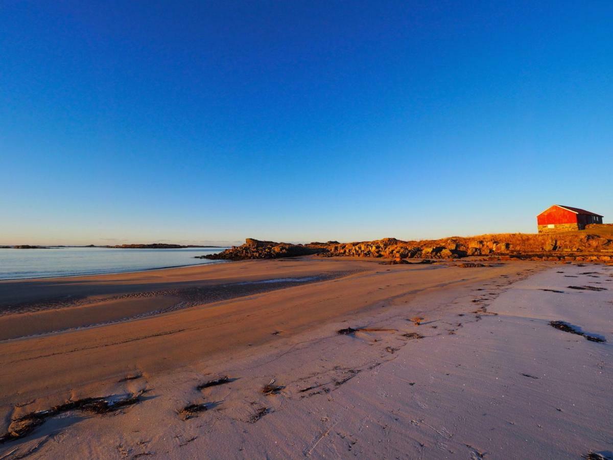 לקנס Midnight Sun View Lofoten מראה חיצוני תמונה