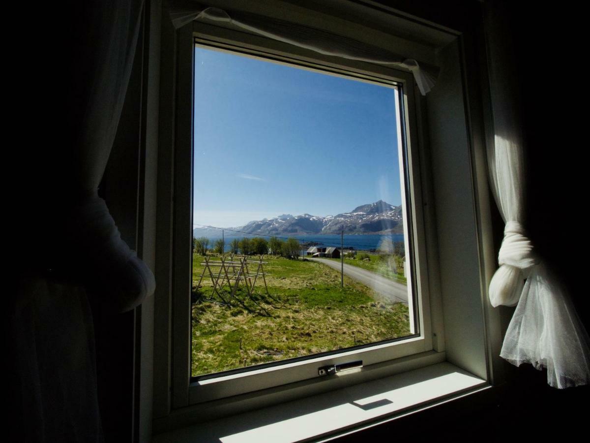 לקנס Midnight Sun View Lofoten מראה חיצוני תמונה